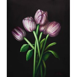 Bunch of Purple and Cream Tulips